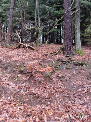 Grenzstein 48 maikammer martin 139 umfeld.jpg