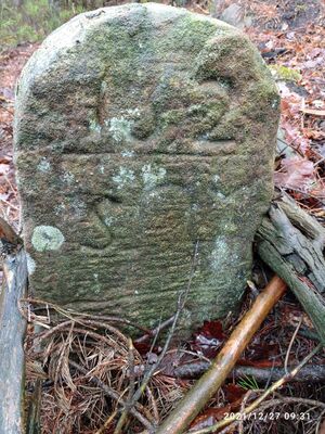 Grenzstein 35 maikammer 152 martin .jpg