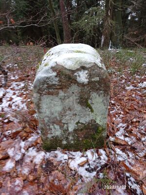 Grenzstein 55 maikammer ansicht.jpg