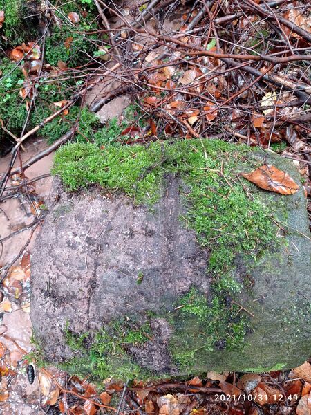 Datei:Grenzstein 112 Flachkopftal Grenzverlauf.jpg