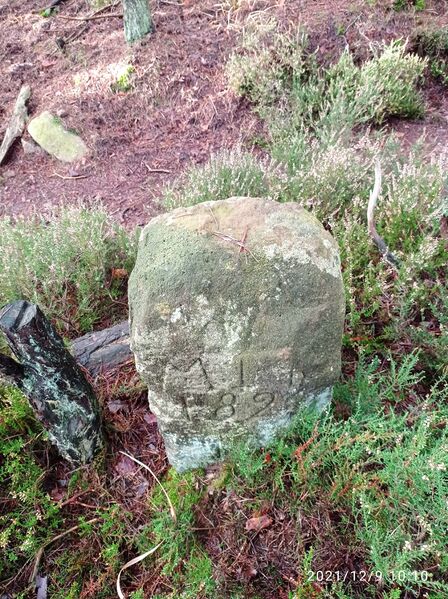 Datei:Grenzstein 15 maikammer.jpg