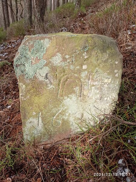 Datei:Grenzstein 25 maikammer 162 martin.jpg