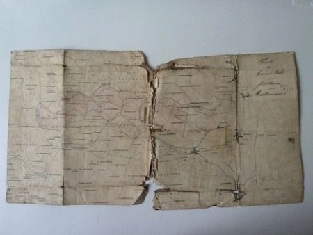 Feld und Wandgewanne 1850