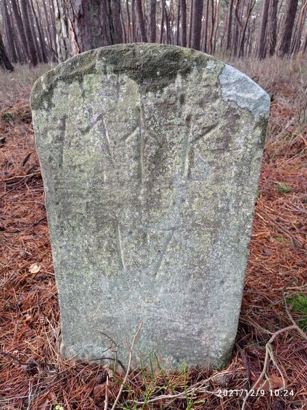 Datei:Grenzstein 17 maikammer.jpg