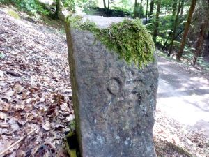 Grenzstein maikammer alsterweiler 93 sankt martin 94 4.jpg