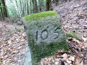 Grenzstein maikammer alsterweiler 105 sankt martin 82 2.jpg