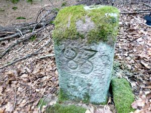Grenzstein maikammer alsterweiler 83 sankt martin 104 2.jpg