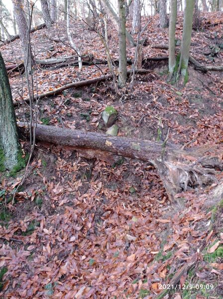 Datei:Grenzstein 6 maikammer breitenberg.jpg