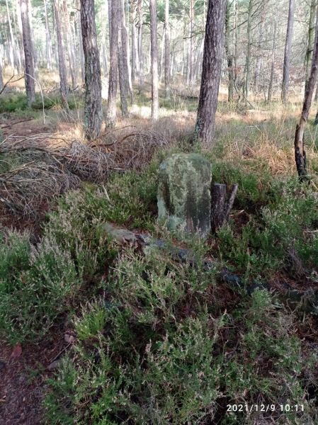 Datei:Grenzstein 15 maikammer umfeld.jpg