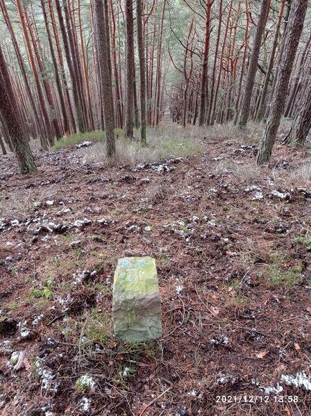 Datei:Grenzstein 25 maikammer 162 umfeld.jpg