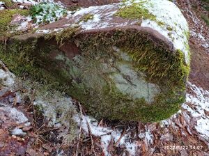 Grenzstein 56 maikammer ansicht maikammer2.jpg