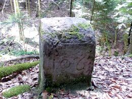 Grenzstein maikammer alsterweiler 106 sankt martin 81 2.jpg