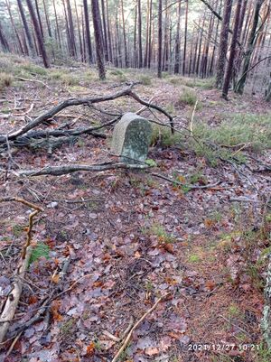 Grenzstein 37 maikammer 150 martin umfeld.jpg