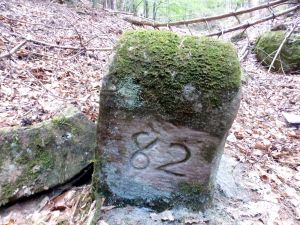 Grenzstein maikammer alsterweiler 105 sankt martin 82 4.jpg