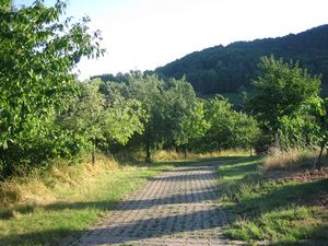 Bergstrasse historisch.jpg