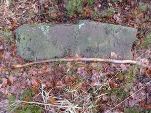 Grenzstein 60 maikammer umgestürzt ansicht.jpg