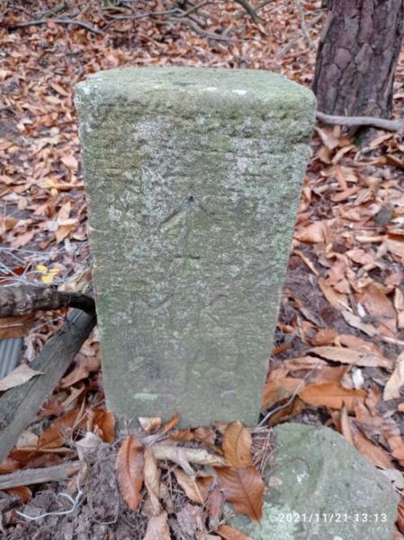 Datei:Grenzstein 218.jpg