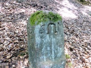 Grenzstein maikammer alsterweiler 93 sankt martin 94 3.jpg