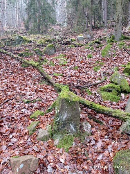 Datei:Grenzstein 30 maikammer.jpg