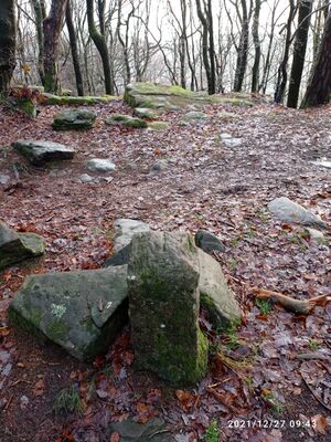 Grenzstein 33 maikammer 154 sankt martin blick richtung grenzstein 32.jpg