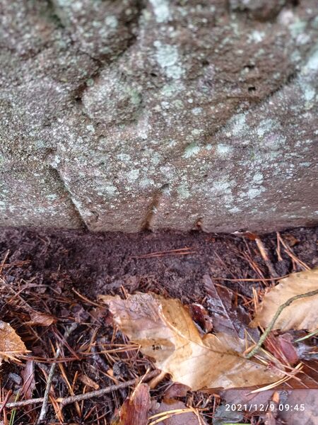 Datei:Grenzstein 14 maikammer.jpg