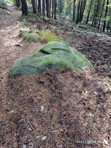 Datei:Grenzstein 198 von oben.jpg