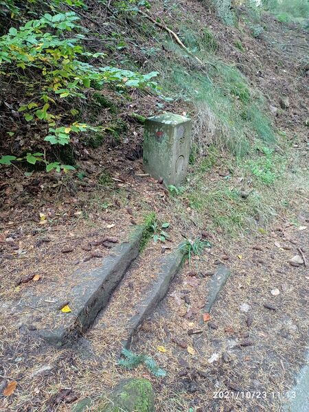 Datei:Grenzstein 191 Taubenkopf.jpg