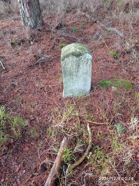 Datei:Grenzstein 17 maikammer Umfeld.jpg