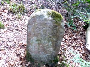 Grenzstein maikammer alsterweiler 161 diedesfeld 60 2.jpg