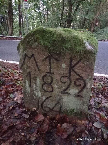 Datei:Grenzstein 164 Alsterweiler Totenkopf.jpg