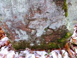 Grenzstein 55 maikammer detail.jpg