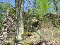 Wildenstein Ruine 2009.jpg