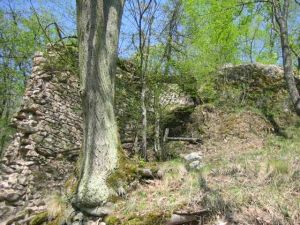 Wildenstein Ruine 2009.jpg