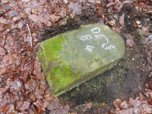 Grenzstein maikammer 137 diedesfeld 84 2 Diedesfeld.JPG