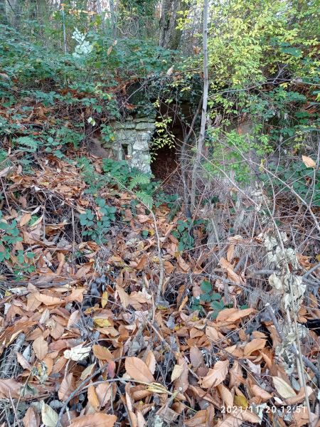 Datei:Weinberghaus Schützenhaus2.jpg