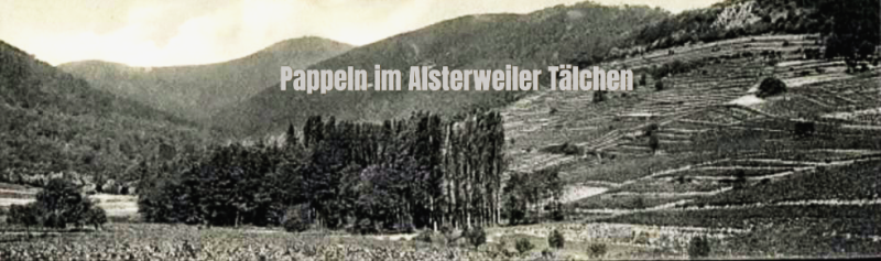 Datei:Alsterweiler Tal Pappeln.png