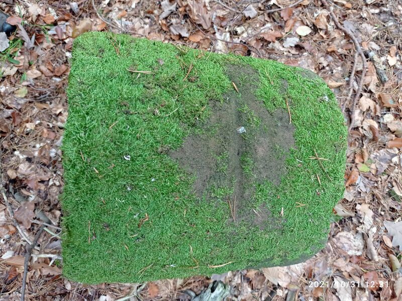 Datei:Grenzstein 121 Kirrweiler 33 Verlauf.jpg