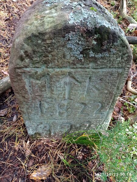 Datei:Grenzstein 199 Taubenkopf.jpg