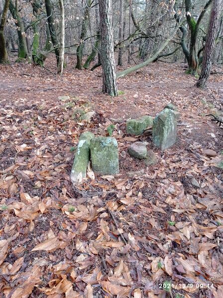 Datei:Grenzstein 14 maikammer gesamt.jpg