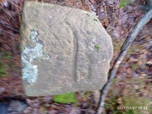 Grenzstein 37 maikammer 150 martin weisung.jpg