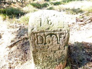Grenzstein maikammer alsterweiler 203 diedesfeld 18 2.jpg