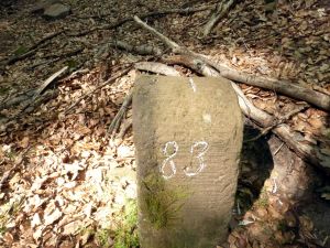 Grenzstein maikammer alsterweiler 83 sankt martin 105 4.jpg