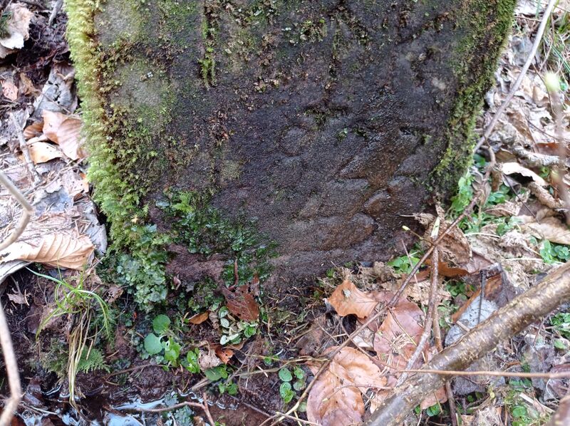 Datei:Grenzstein maikammer 145 Ausschnitt.jpg