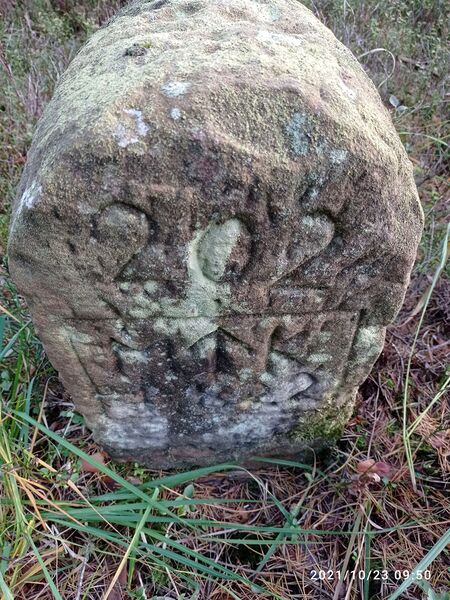 Datei:Grenzstein 202 Kanzel.jpg