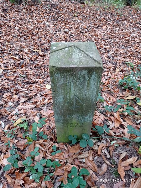 Datei:Grenzstein 217 eichelberg oben weisung.jpg