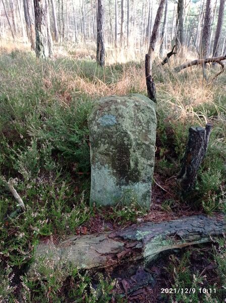 Datei:Grenzstein 17 sankt martin 170.jpg