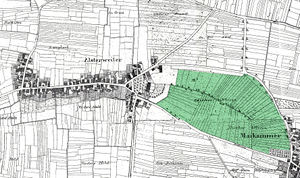 Alsterweiler 1821 Flurkarte Dieterswiese.jpg