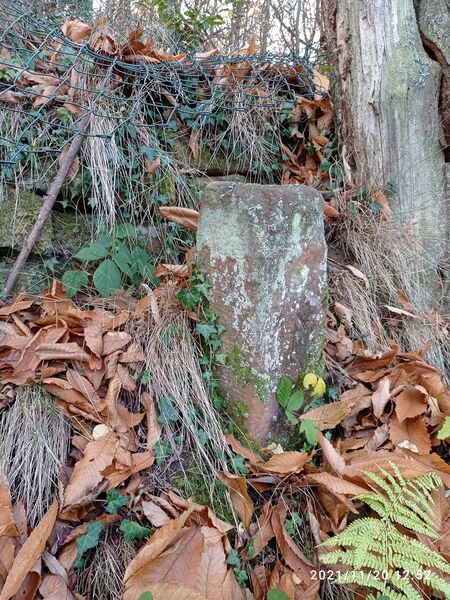 Datei:Grenzstein 3 seitlich.jpg