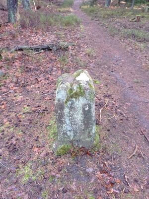 Grenzstein 58 maikammer umfeld2.jpg