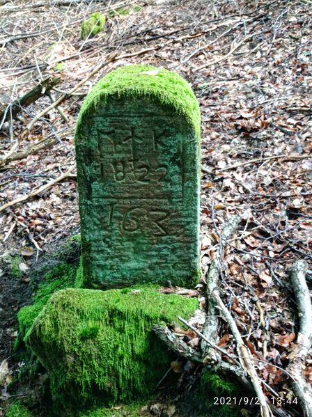 Datei:Grenzstein 163 Alsterweiler Totenkopf.jpg